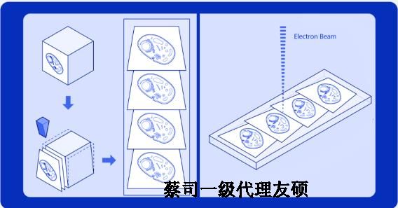 武隆蔡司武隆扫描电镜