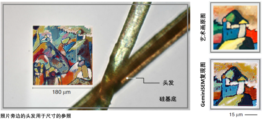 武隆蔡司武隆扫描电镜 武隆蔡司武隆扫描电镜